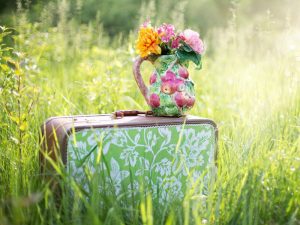 Green floral and brown luggage bag in a field